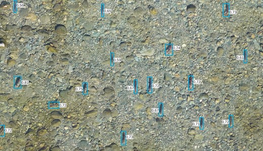 Our AI-Powered Solution